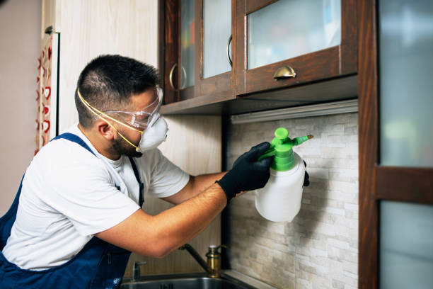 Best Commercial Pest Control Services  in Reeds Spring, MO